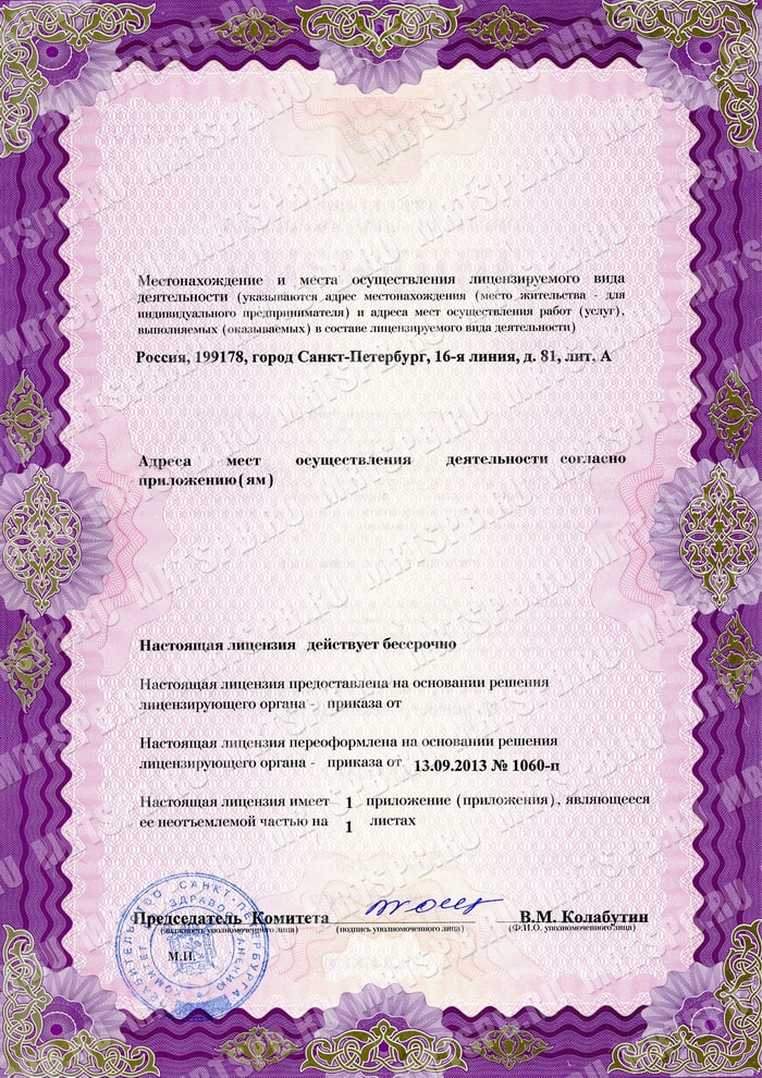 Лицензия Ами