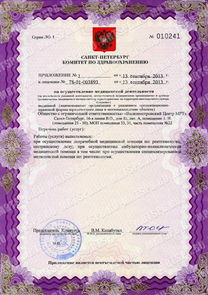 Лицензия Ами
