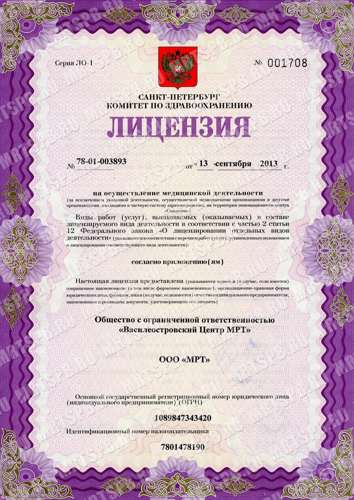 Лицензия Ами