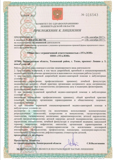 Лицензия Эталон