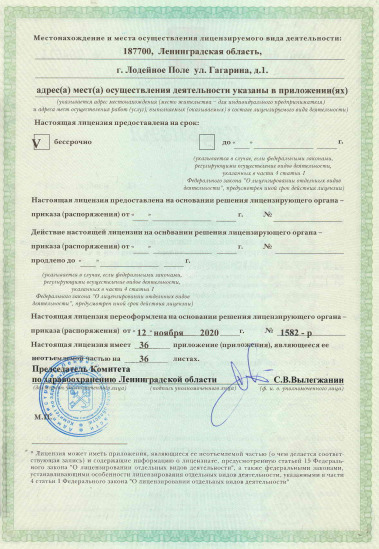 Лицензия Лодейнопольская МБ