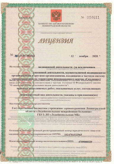 Лицензия Лодейнопольская МБ
