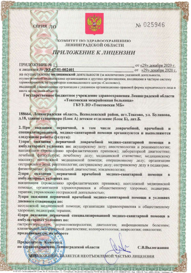 Лицензия Токсовская районная больница