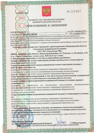 Лицензия Токсовская районная больница