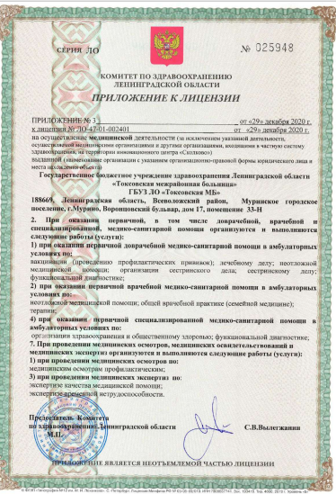 Лицензия Токсовская районная больница
