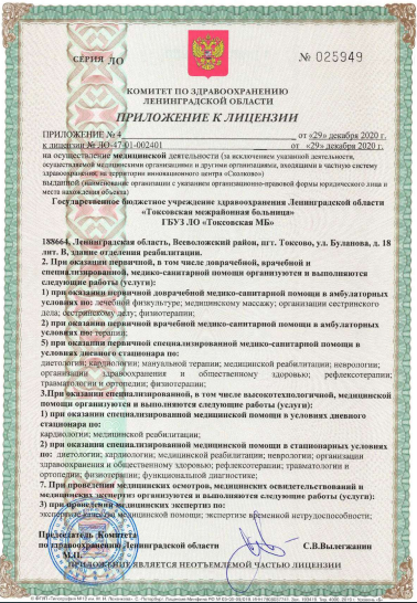 Лицензия Токсовская районная больница