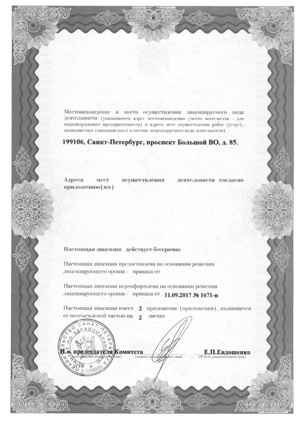 Лицензия Городская Покровская больница