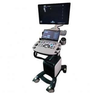 УЗИ центр Скандинавия в Сестрорецке на ул Борисова д 10